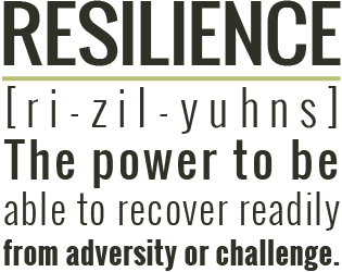 Image result for resilience